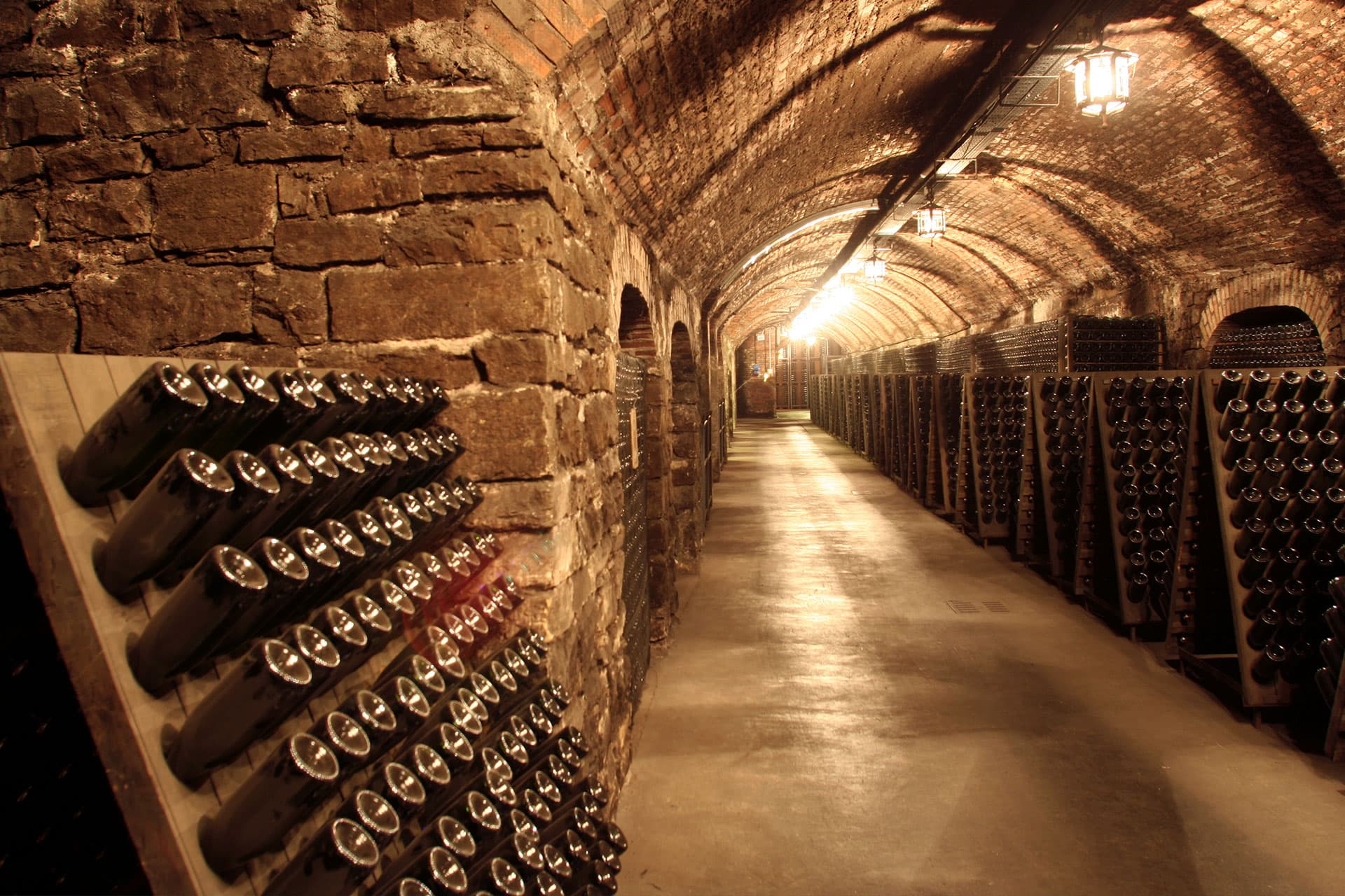 Cantina Rossi
